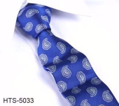 Picture of 100% SILK WOVEN MULTI-COLOR PAISLEY TIE - Blue