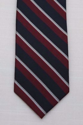 Picture of Burgandy - 100% SILK WOVEN TEXTURED MULTI COLORED STRIPE NECKTIE